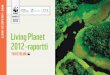 Living Planet - WWF · Living Planet -indeksi Indeksissä näkyy noin 30 prosentin lasku aikavälillä 1970–2008. Tiedot perustuvat 9 014 populaatioon, jot-ka edustavat 2 688 lintu-,