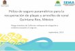 Presentación de PowerPoint · normales (Mariño, I. y Acevedo C. 2017) protegiendo las playas de la erosión. Cozumel, Puerto Morelos, Punta Nizuc y Punta Cancún, que atraen a más