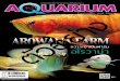 นิตยสาร Aquarium Biz Vol.4 Issue 52 (PDF)...ย อนกล บไปส กเม อ 5-6 ป ก อน ในย คทองของอควาเร ยม ย