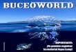 BUCEO Una selecWción de artículos inOternacionaleRs de ...buceoworld.es/BW39.pdflos buzos que lo necesiten: FALSO. Seamos honestos, la cantidad de buzos en el planeta que necesitan