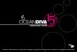 OCEANDIVA - fiylo … · Individual attention, branding and networking on board the OCEANDIVA turns your event into an extraordinary experience. Shine with our DIVA furniture, play