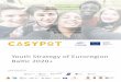 Youth Strategy of Euroregion Baltic 2020+casypot.eu/wp-content/uploads/2019/07/Youth... · situation, a bank of dedicated tools and a strategic study intended for practical use by
