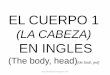 EL CUERPO 1 · 2018. 5. 11. · EL CUERPO 1 (LA CABEZA) EN INGLES (The body, head) [de bodi, jed]