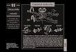 11 O controle do vôo dos aviões Coisas que controlamfep.if.usp.br/~profis/arquivo/gref/blocos/mec2.pdf · com os aviões, barcos e outros veículos que têm de possuir sistemas