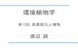 渡辺誠 - 東京農工大学web.tuat.ac.jp/~negitoro/180711.pdfcomp. PSII 電子伝達系 電子伝達系 ・NADPH生成 ATP合成系 スクロース合成系 トリオースリン酸
