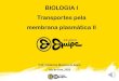 BIOLOGIA I Transportes pela membrana plasmática II...membrana plasmática II. Prof.: Anderson Marques de Souza Juiz de Fora_2020 BIOLOGIA I Envoltórios Celulares 1ª SÉRIE. LIVRO