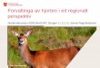 Forvaltinga av hjorten i eit regionalt perspektiv · (DN rapport 8-2009) 5 konkrete mål 1. Forvaltningen skal sikre livskraftige og sunne hjorteviltbestander, et rikt biologisk mangfold