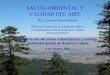 SALUD AMBIENTAL Y CALIDAD DEL AIRE · 2019. 9. 11. · SALUD AMBIENTAL Y CALIDAD DEL AIRE . Contenido 1. Episodios históricos de contaminación del aire 2. Estudios de impactos en