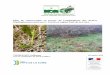Plan de conservation en faveur de l’Ophioglosse des Açores … · 2012. 1. 11. · Jan. Fév. Mars Avr. Mai Juin Juil. Août Sept. Oct. Nov. Déc. Germination et croissance végétative