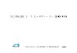 北海道ITレポート 2019 - hicta.or.jp€¦ · トサイト運営業、ウェブ・コンテンツ提供業、情報ネットワーク・セキュリティ・サービス業等）
