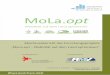 Abschlussbericht des Forschungsprojekts „MoLa.opt ... · Die nachfolgenden Prinzipien des ÖPNV im ländlichen Raum abstrahieren die Analyseergebnisse von MoLa.opt und stellen Grundsätze