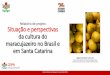 Relatório de projeto Situação e perspectivas da cultura do …docweb.epagri.sc.gov.br/website_cepa/Fruticultura/... · 2018. 12. 19. · de 1 a 2 hectares maracujá de 1,72 ha