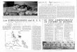 del EL XXII CAMPEONATO DE ESPAÑA DEhemeroteca-paginas.mundodeportivo.com/EMD01/HEM/1965/10/... · 2004. 9. 4. · c6 en 1905 en K!eIn Luckawn. Las dus sobre los diez años que cargaban