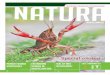 Special exoten - Sovon€¦ · lid (tot 25 jaar) 16,00. | Organisaties en bedrijven € kunnen zich abonneren op Natura. Abonnementen binnen Nederland kosten € 49,75, in België