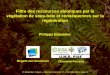 Filtre des ressources abiotiques par la végétation de sous ...capsis.cirad.fr/capsis/_media/documentation/... · P. Balandier, Caqsis – Clermont-Ferrand, 27 – 29 mars 2018,