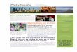 PhillyEspaña La revista digital del Círculo Español de ...€¦ · de los empresarios José María de Ybarra (vasco) y Narciso Bonaplata (catalán) para crear una feria de compra-venta