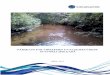 PĀRSKATS PAR VIRSZEMES UN PAZEMES ŪDEŅU STĀVOKLI … · Pārskats sastāv no 2016. gada laika un hidroloģisko apstākļu, virszemes ūdensobjektu ekoloģiskās kvalitātes, nitrātu