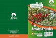Árboles Frutales · Árboles Frutales Mejoras en la producción Tecnología Crecimiento, engorde y mejor calidad postcosecha de los frutos. Mayor rapidez en el enraizamiento de los
