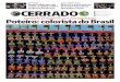AGÊNCIA SENADO ESPORTES ÁREA TRIBUTÁRIA ...wildermorais.com.br/wp-content/uploads/2016/08/Cerrado...Pois o Museu de Arte Contemporânea de Goiás (MAC), em Goiânia, cumpriu a missão