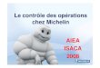 MICHELIN Audit approach presentation Le contrôle des … · Présentation Michelin – Florence Vincent – AIEA – Italie 2008 MICHELIN Audit approach presentation to SIAM CEMENT