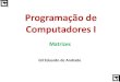 Programação de Computadores I - Gil Eduardo · •Uma matriz, em programação de computadores, pode ser representada como uma planilha, já que esta contém linhas e colunas. •Cada