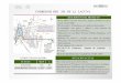 CORREDOR BRT ZM DE LA LAGUNA - nombre del sitiio · 2018. 12. 4. · •Operación con una Ruta Troncal, 9 Rutas Integradas, y 18 alimentadoras. •Sistemas de control y recaudo con