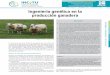NOTA-INCyTU | NÚMERO 036 | FEBRERO 2020 Ingeniería ...€¦ · los retos climáticos6, enfermedades del ganado3,9-13, y que aplique principios éticos para el manejo de los animales