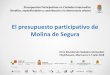El presupuesto participativo de Molina de Segura · • Creación, a partir del PsPs, de grupos de trabajo en cada zona Travesía 5.0: Visitas intra e inter zona para detectar necesidades