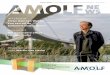 amolf news is een uitgave van het nwo-instituut amolf • Juli …...toonaangevend fundamenteel onderzoek aan de fysica van natuurlijke en niet-natuurlijke complexe materie en het