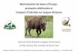 protocoles vétérinaires etPRESENTATION DU PROJET •2019 : Première réintroduction de 12 bisons d’Europe en Azerbaïdjan •Le 15 mai 2019, 12 isons d’Eu ope nés en parc zoologique