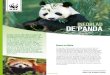 INFOBLAD DE PANDA...in de wereld hebben ze in hun verzameling. In het wild krijg je een panda nauwelijks te zien. Ze zijn uiterst zeldzaam, schuw en wonen in dichtbegroeide bossen