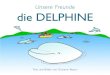 Unsere Freunde die DELPHINE · Die Zähne der Delfine dienen weniger dem Kauen als dazu, die Beute zu packen. Fische und ... jedes Lebewesen seinen Platz und seine Aufgabe in der