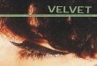 velvet.32 | μάιος 08 | διανέμεται δωρεάν svelvetmornings.gr/photos/magazine/issues/velvet32.pdf · 1,2,3, Go!./03 velvet τεύχος.32 / μάιος 08 μηνιαία