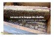 ou la démocratie des abeilles - Montreuil Apiculture · La Démocratie des abeilles Le « pourpre des abeilles » • La lumière solaire blanche, losu’elle est dissociées artificiellement