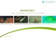 Powerpoint-mal for MAREANO · 2016. 5. 25. · Opparbeiding av data. . Kartverket: • Dybdedata renskes for støy og kvalitetskontrolleres • Terrengmodellering og produksjon av