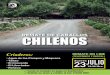 REMATE DE CABALLOS CHILENOS - FZR · 2020. 7. 19. · AGUA DE LOS CAMPOS Y MAQUENA GATA VIUDA 249461 19-01-2015 Maquena MALULO Bellaco Ña Juana Lamentado Promoción Taco Percala