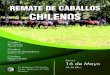 REMATE DE CABALLOS CHILENOS · 2019. 4. 30. · Tonada Gran Reservado Guinda Eleodoro Coyonda Aguaitando Bárbara Palqui Nuevo “El Rayo” ESTRELLADO Palqui Nuevo 15-11-2013 Nr: