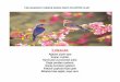 İLKBAHARpekkoleji.com/mart2018/45b.pdf · PEK ANAOKULU YAĞMUR GRUBU MART AYI EĞİTİM PLANI İLKBAHAR Ağaçlar çiçek açar, Kuşlar cıvıldar, Karıncalar yuvasından çıkar