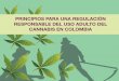 PRINCIPIOS PARA UNA REGULACIÓN RESPONSABLE DEL USO … · lo de regulación del uso adulto del cannabis en Colombia, presentamos este documento, 5 que busca ser una herramienta para