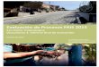 Evaluación de procesos al FAIS en San Pedro Tlaquepaque, ejercicio 2015 Documento 3 … · 2017. 4. 6. · Evaluación de procesos al FAIS en San Pedro Tlaquepaque, ejercicio 2015