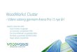 WoodWorks! Cluster · 2020. 2. 24. · WoodWorks! Cluster - Videre satsing gjennom Arena Pro i 5 nye år! Stjørdal 4. desember 2019 Kjersti Kinderås, klyngeleder Lars Johansson,