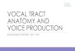 ΗΥ-578 28/4/2017 VOCAL TRACT ANATOMY AND VOICE …hy578/2017/Anatomy and Production.pdf · VOCAL TRACT ANATOMY AND VOICE PRODUCTION ... oSource = the vibrating vocal vocal folds