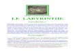 LE LABYRINTHE - Freeracines.traditions.free.fr/labyrint/labyrint.pdf · par les labyrinthes de Juan Lemmens & Georges Hupin, in Combat païen, Mai,1993. ~Ê~Ê~Ê~Ê~Ê~Ê~Ê~Ê~Ê