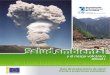 Guía de preparativos de salud frente a erupciones volcánicascidbimena.desastres.hn/docum/ops/Volcanes/gv_modulo4-1.pdf · del riesgo volcánico para la salud, los aspectos de organización