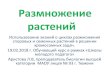 Размножение растенийimc72.ru/content/26022018/1.pdf · PacTeHhB 0Tnnqa}0Tcn no OC06eHHOCTBM CnopoBb1e CoreHHbIe (nanop0THHR11, XBOIUII) 11Me10T ceMeHa He 11Me10T