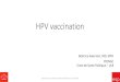 HPV vaccination - Infectious Diseases - Home · 2016. 5. 24. · HPV Vaccination : 10 years programme •Programme « Girls - Women vaccination » •Target : prevention of Cervical