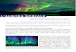 PROGRAMMA AURORA BOREALE - Re Teodorico ViaggiComunicazione trasmessa all'Amministrazione Provinciale di Verona il 26/10/2017 Tromso e l’Aurora Boreale - Pagina 4/4 paesaggio circostante