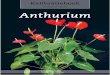 New Naktuinbouw kalibratieboek Anthurium · 2017. 9. 1. · Gewas: Anthurium Versie datum: 23-11-2004 Soort waarneming: visueel visuele score: 1,9 Aantal waarnemingen per plant: 1
