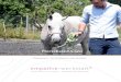 Horsebased-Class - Empathie Werkstatt · 2019. 5. 21. · TRAINING II AUSBILDUNG ICOACHING I IMEDIATION Uschi Kellenberger I I Wydenhagweg 624 CH-8262 Ramsen Fon I +41 (0)44 I 941