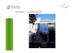 Lernkultur – Lernlandschaft - Umweltbildung · •Seminare Dr. J. Borner Szenarienarbeit Prof. Dr. Wünsch HdpK Gelungene Kommunikation Prof. Spannagel Web 2.0 Sara Larrain Chile